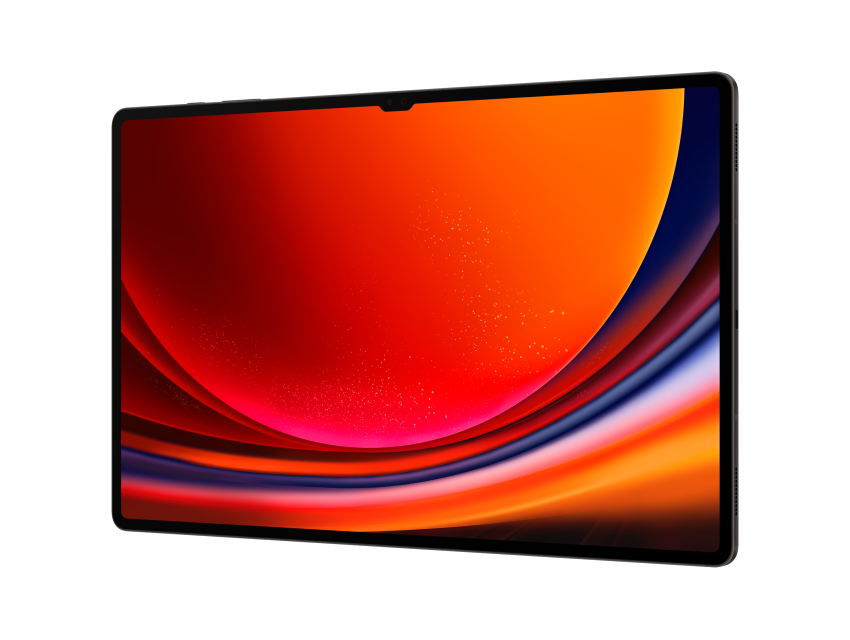 Samsung Galaxy Tab S9 Ultra 5G 12/256GB, sivi